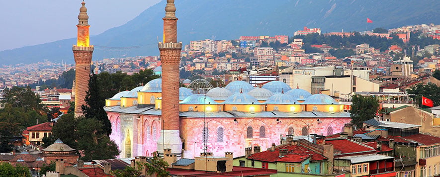 bursa